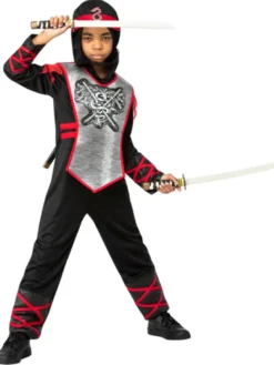 Drage Ninja