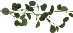Eukalyptus Guirlande