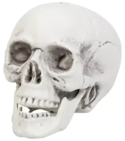 Halloween Deko Pakke