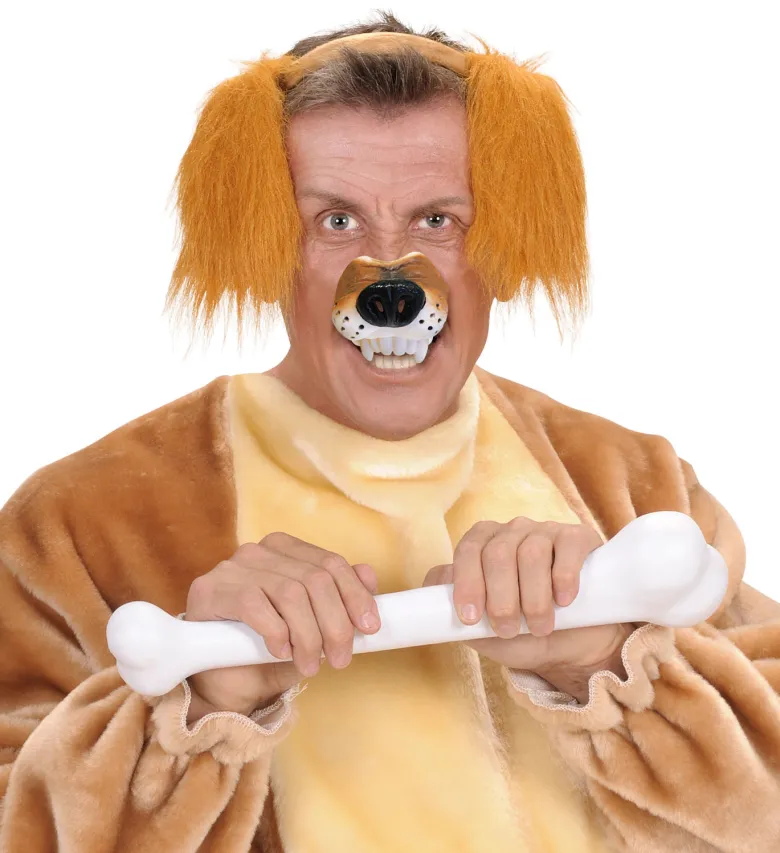 Hunde Snude