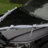 Hvidt pynt til bilen