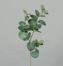 Kunstig Eukalyptus Gren, 69 cm