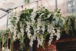 Kunstig Hvid Wisteria Guirlande, 1.7 meter
