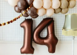 Mocca Brun Tal Ballon 86 cm - 4