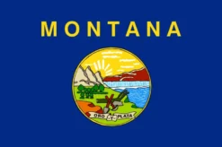 Montana flag