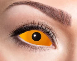 Orange Sclera Linser, 6 mdr.