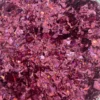 Revet Konfetti - Holografisk Pink, 14gr