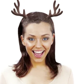 Rudolf horn