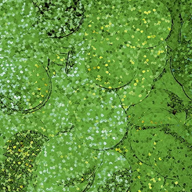 Rund Holografisk Grøn Konfetti 1 cm, 14gr