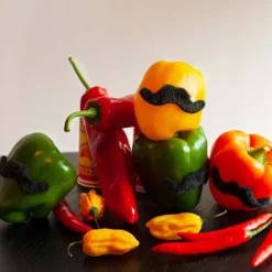 Sorte Moustaches, 5 stk.