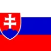 Stort Slovakisk Stof Flag, 90 x 150 cm