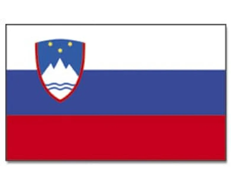 Stort Slovensk Stofflag, 90 x 150 cm