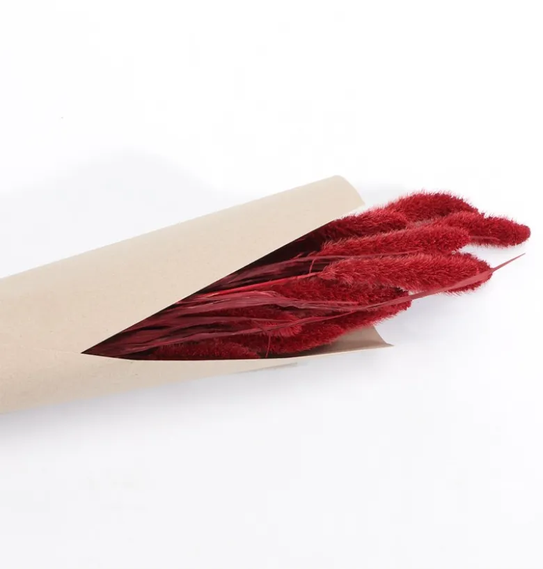 Tørret Rød Kolbehirse 74 cm, 100gr