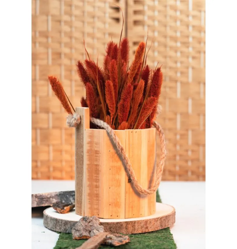 Tørret Rød Kolbehirse 74 cm, 100gr