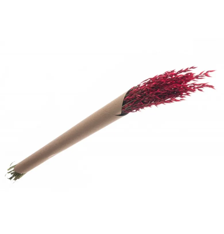 Tørret Rødt Steppegræs 65 cm, 65gr
